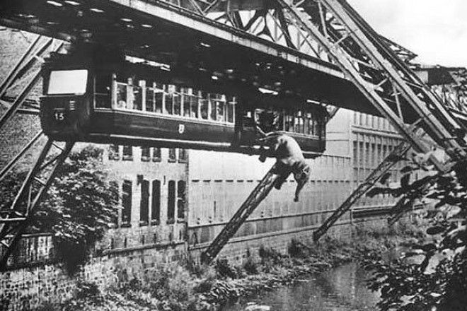 Странное прошлое 15 совершенно безумных фотографий из 20 века