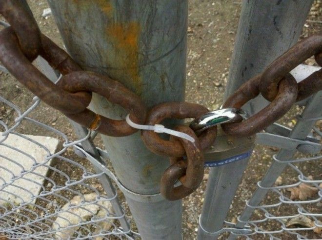 Умного человека обокрасть непросто безопасность прикол умный человек юмор