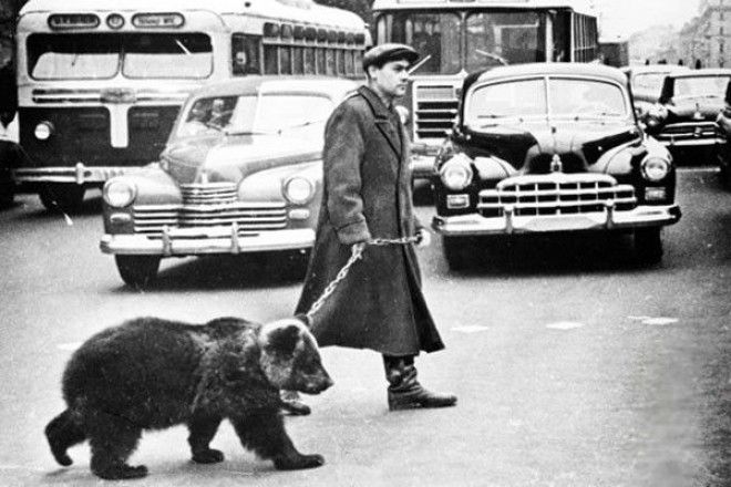 Странное прошлое 15 совершенно безумных фотографий из 20 века