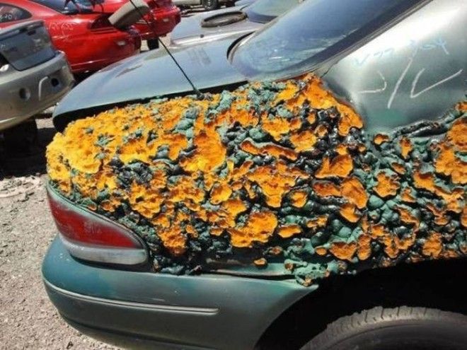 15 авто приколов которые заставят вас улыбнуться