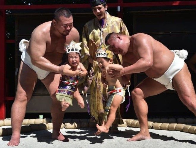 12 Борьба плачущих младенцев Япония Фестиваль азия странность