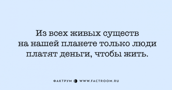 25 фактов которые расширят вашу эрудицию