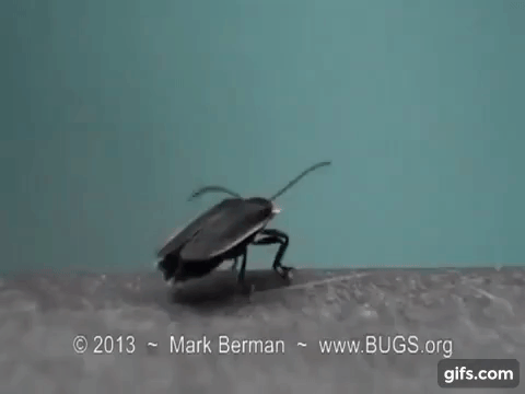 Шоу светлячков фантастическая синхронная волна света