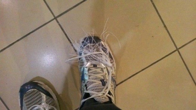 Несколько весомых причин до чертиков бояться эскалаторов ноги обувь эскалатор