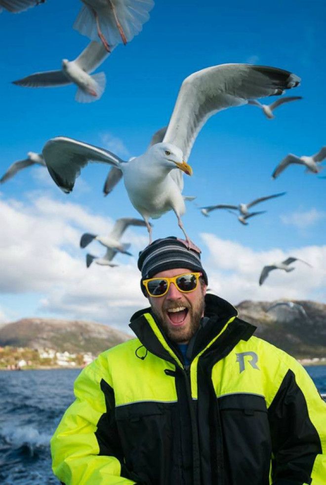 Момент кражи. Момент кражи