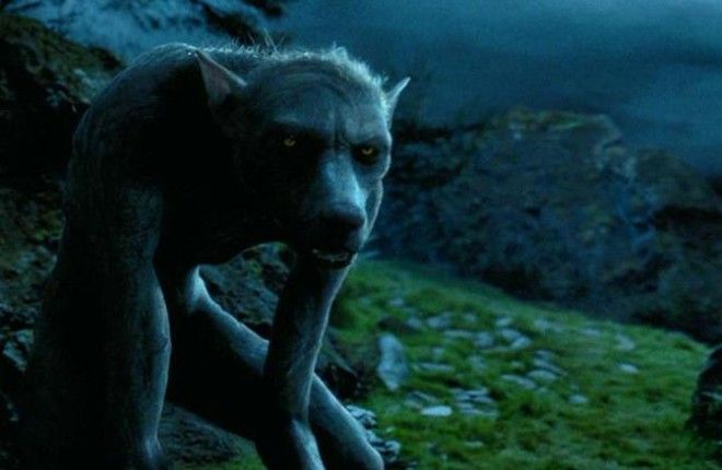 Кадр из фильма  Фильмы Кадр из фильма