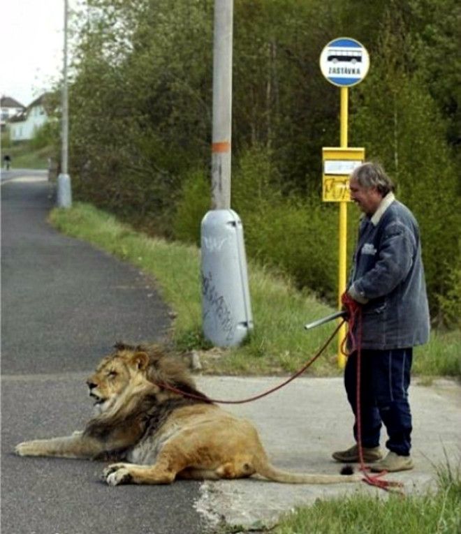 Человек с кошечкой. Человек с кошечкой