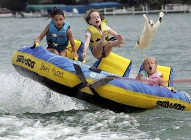 Кораблекрушение. Кораблекрушение