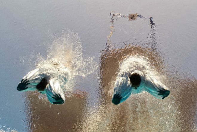 Эффектное вхождение. Эффектное вхождение