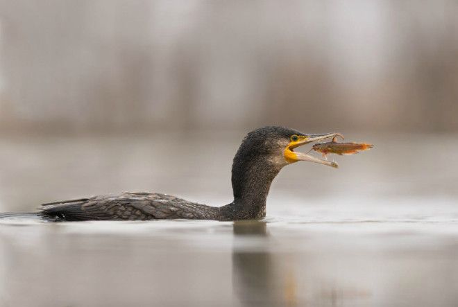 За секунду до... За секунду до