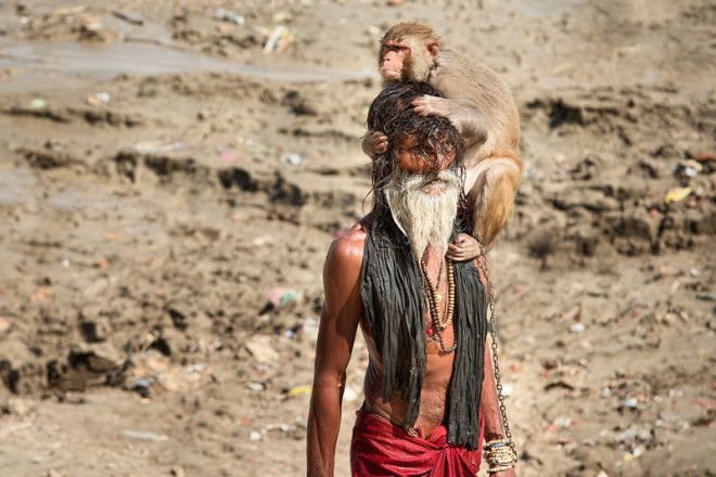 Хомуресу, вагабундо и барбоне — как выглядят бездомные в разных уголках мира Хомуресу вагабундо и барбоне как выглядят бездомные в разных уголках мира бездомные бомж город эстетика
