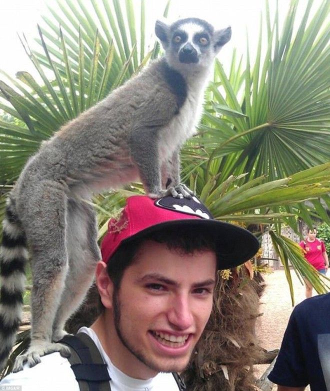 Фотографии из поездок в которых чтото пошло не так