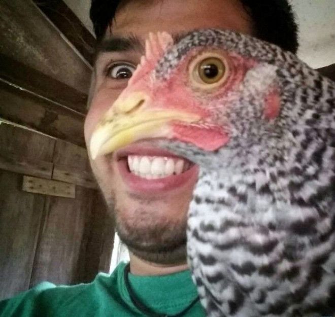 Куриным глазом. Куриным глазом