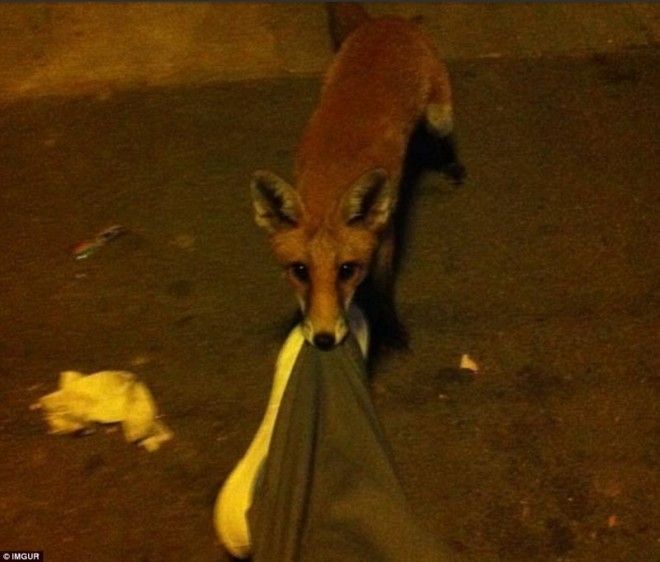 Фотографии из поездок в которых чтото пошло не так