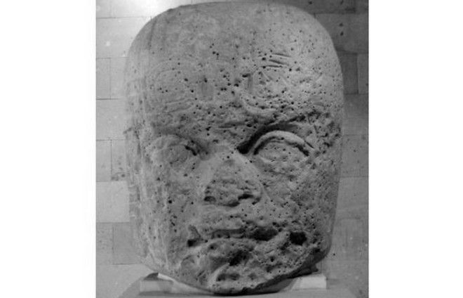 Голова №7 из Сан-Лоренцо в Музее антропологии в Халапе. Голова 7 из СанЛоренцо в Музее антропологии в Халапе