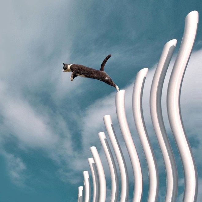 Яркий мир в фотографиях Дилетты Пачифичи яркий мир фотографи Дилетта Пачифичи Diletta Pacifici