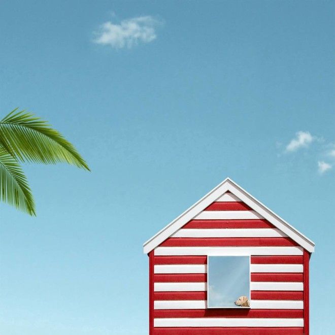 Яркий мир в фотографиях Дилетты Пачифичи яркий мир фотографи Дилетта Пачифичи Diletta Pacifici