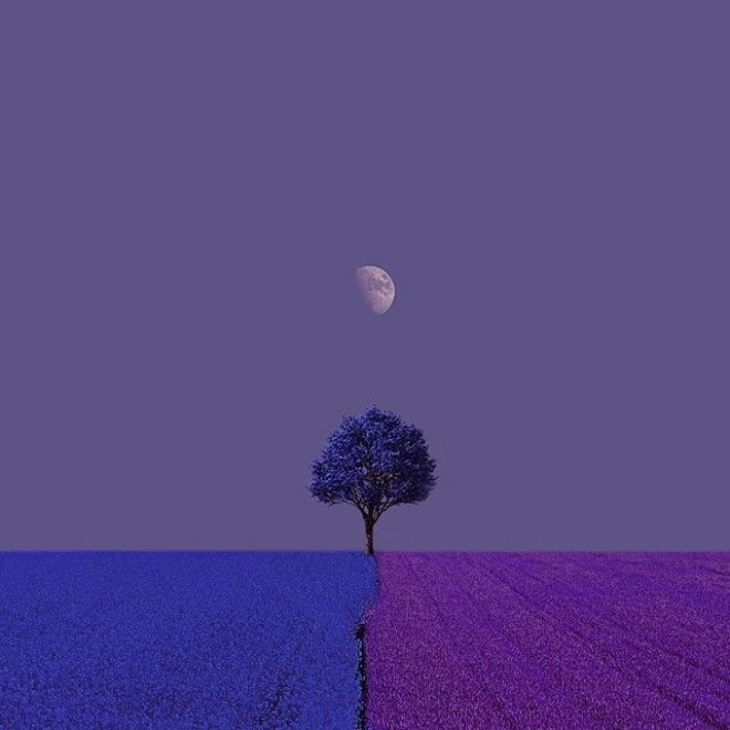 Яркий мир в фотографиях Дилетты Пачифичи яркий мир фотографи Дилетта Пачифичи Diletta Pacifici