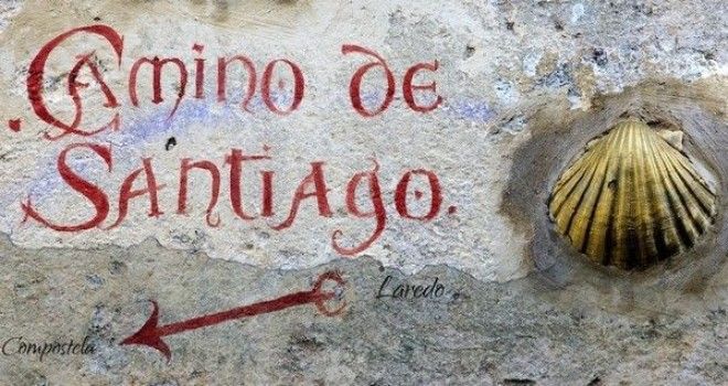 Раковина морского гребешка один из символов паломничества по Camino de Santiago