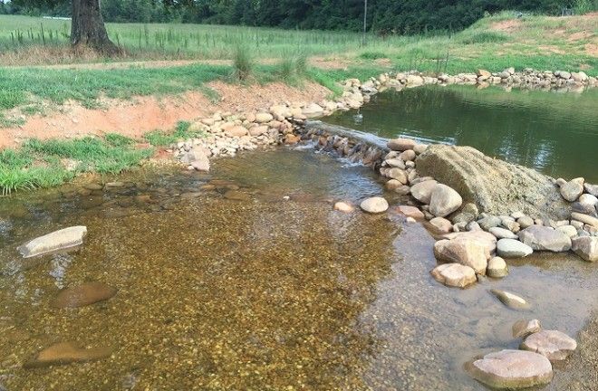 Искусственный пруд который сложно отличить от настоящего Фото imgurcoma5JVoTR7pfR1j