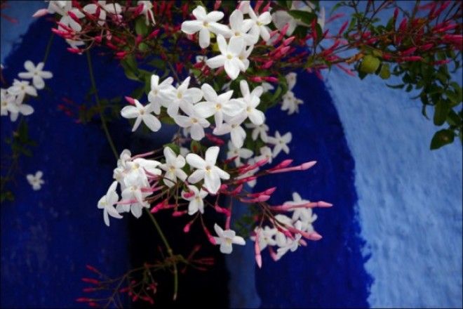 путешествие синий город 09