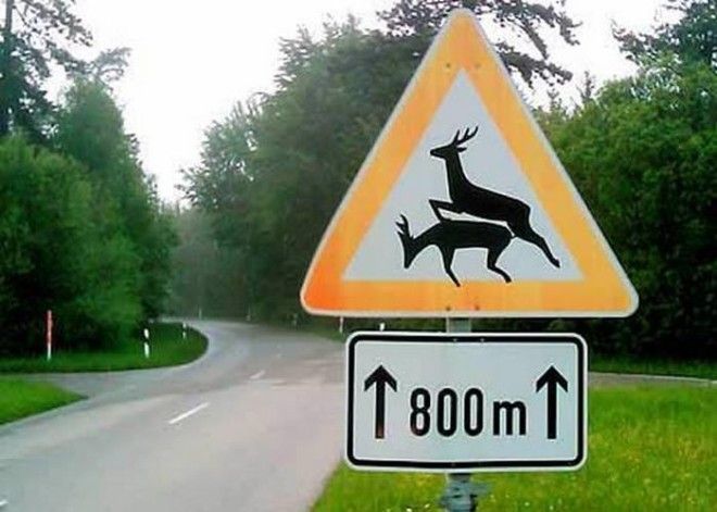 Курьёзный знак: «Спаривающиеся олени». Курьёзный знак Спаривающиеся олени
