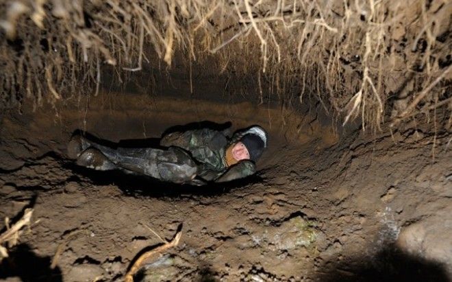 В гостях у медведя как выглядит настоящая берлога изнутри