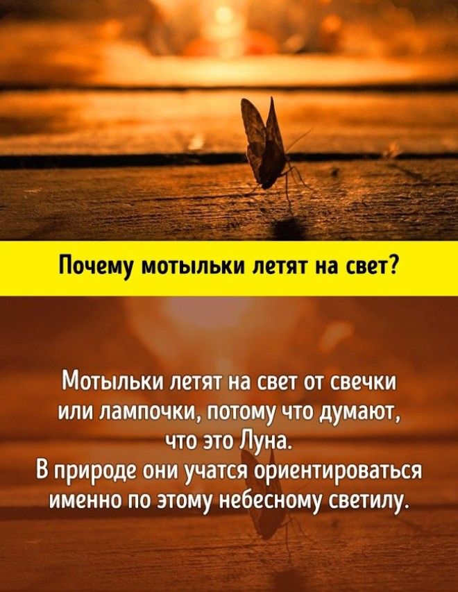 10 грандиозных научных ответов на самые простые детские вопросы
