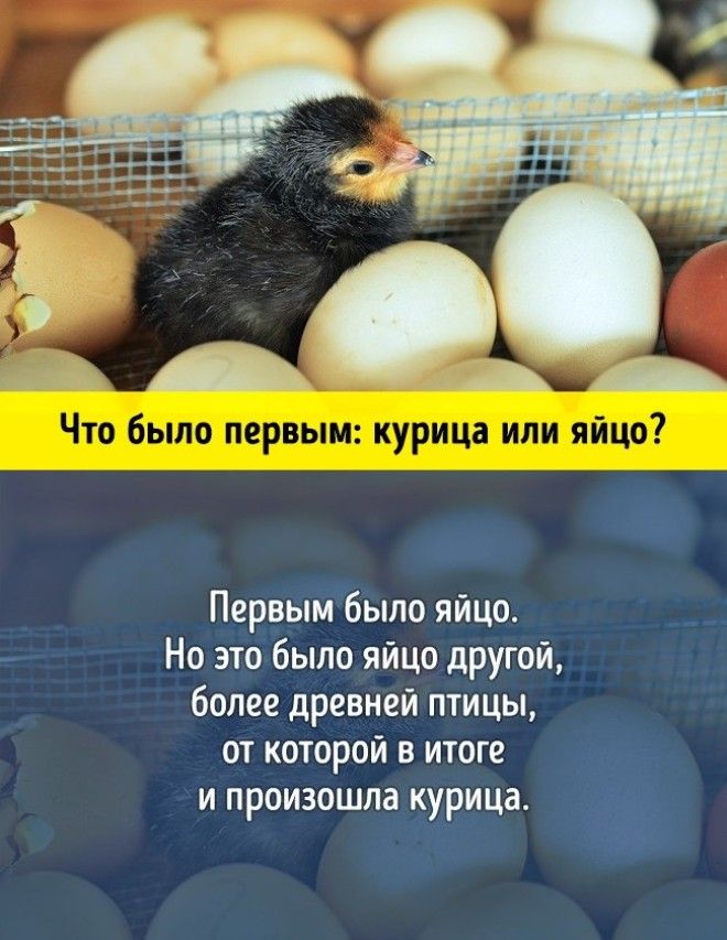 10 грандиозных научных ответов на самые простые детские вопросы