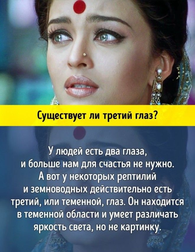 10 грандиозных научных ответов на самые простые детские вопросы