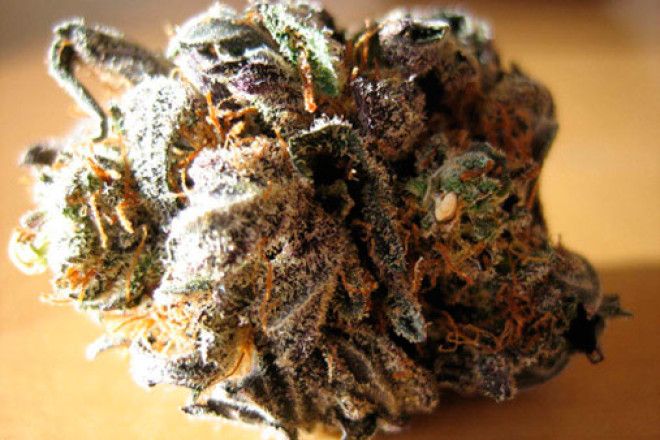 Польза вредных привычек