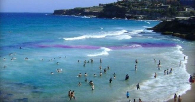 Люди отдыхают на пляже и даже не подозревают какая может быть опасность