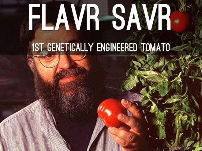 Генетически модифицированные животные рыбы и растения