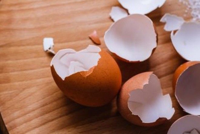 12 предметов которые никогда не следует смывать в раковину или унитаз 