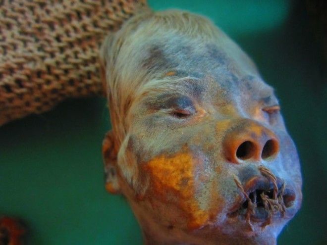 Как индейцы хиваро сушили головы своих врагов