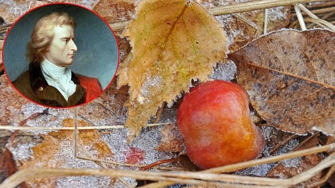 Сосредоточиться на работе Шиллеру помогал запах гнилых яблок. Фото: Михаил ФРОЛОВ