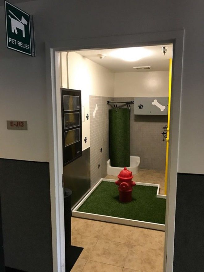 10 гениальных решений проблем с которыми мы сталкиваемся каждый день