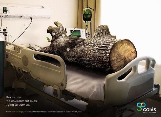 15 мощных постеров о которых вы будете думать весь оставшийся день