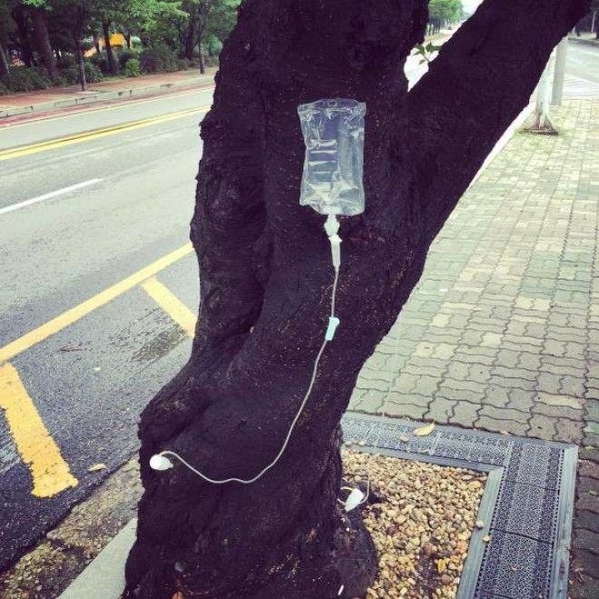 Удивительная страна Южная Корея