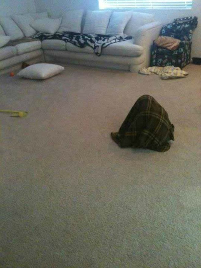 Подозрительная горка