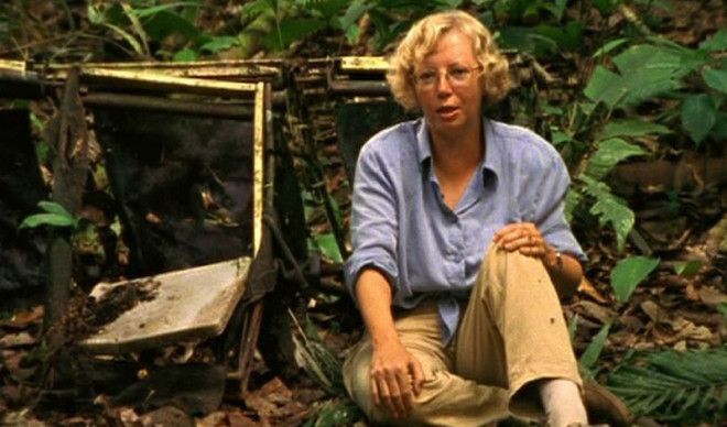 Джулиана Маргарет Кёпке Эта история о женщине, чьей силе воли может позавидовать любой парень. Джулиана летела на LANSA Flight 508, который получил удар молнией и развалился прямо в воздухе. Отбросив панику, девушка пристегнулась покрепче к креслу и начала молиться. Пролетев около трех километров, девушка рухнула на кроны деревьев — и осталась жива. Но оставалась еще одна проблемка: дикие джунгли, где не было ни одного человека. Джулиана справилась и с этим, сумев продержаться до появления спасательной экспедиции.