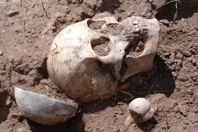 10 древних черепов деформированных по моде