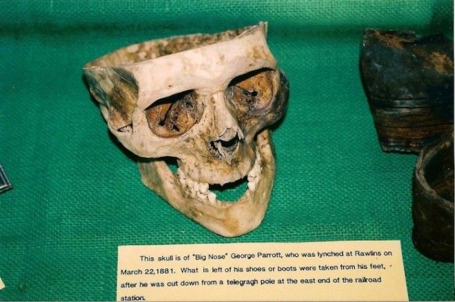 Череп Джорджа Большого Носа