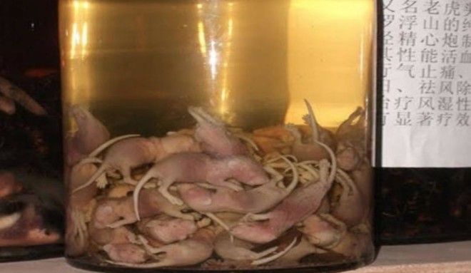 Рисовая водка на мышатах