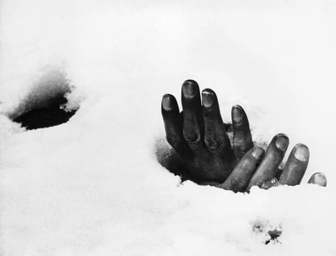 Эти 20 апокалиптических фотографий Корейской войны досмотрит не каждый