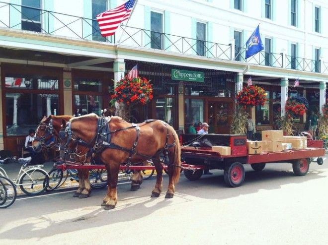 1436905515874139048964921337018192n