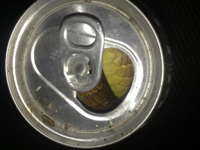 От этих 15 фото у вас однозначно затрясутся поджилки