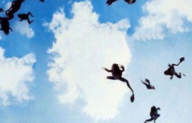 Дождь из лягушек Сербия 2005&nbsp; Местные жители были просто в панике когда с небес обрушился настоящий дождь из жаб Некоторые даже подумали что начинается Судный день но виной всему был всего лишь сильный вихрь подхвативший несчастных лягушек из ближайшего озера и выкинувший их над городом