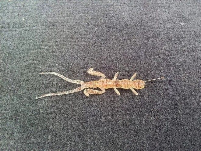 От этих 15 фото у вас однозначно затрясутся поджилки