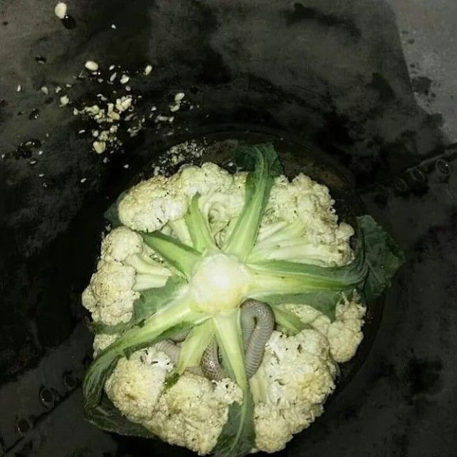 От этих 15 фото у вас однозначно затрясутся поджилки